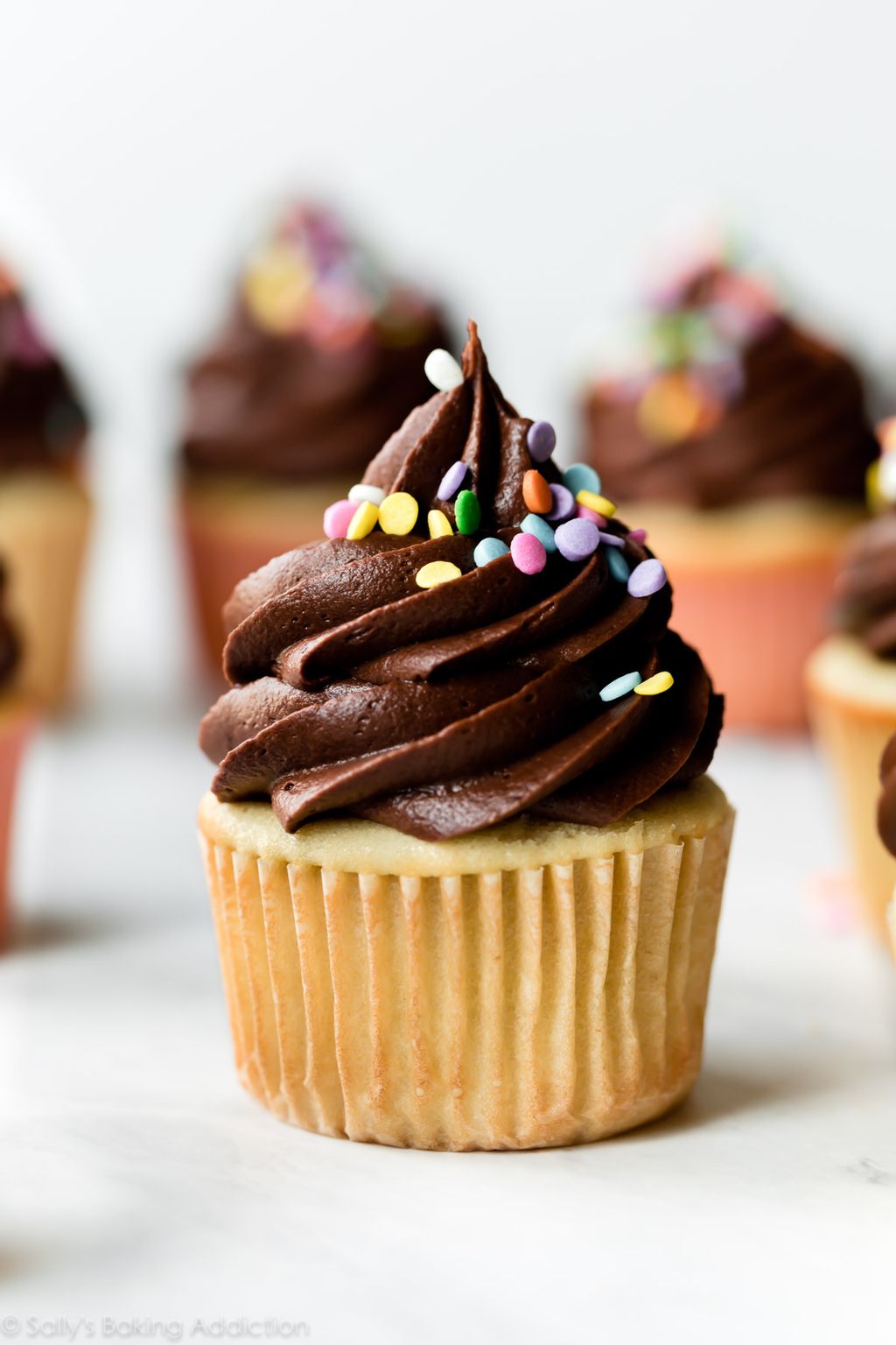 yellow-cupcakes-with-chocolate-frosting-sprinkles.jpg